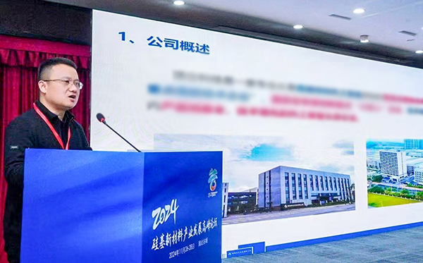 頂立科技參加硅基新材料高峰論壇，分享高純石英制備熱工裝備最新技術